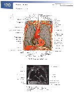 Sobotta  Atlas of Human Anatomy  Trunk, Viscera,Lower Limb Volume2 2006, page 127